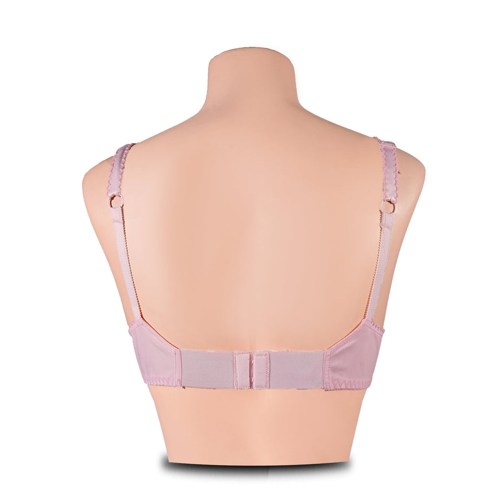 Classy Bra For Daily Wear - Pack Of 2